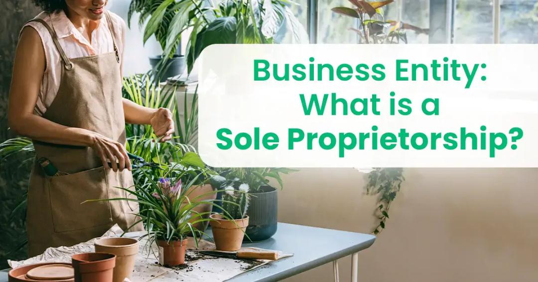A woman in an apron tending to houseplants near a window, with text overlay reading "business entity: what is a sole proprietorship?.